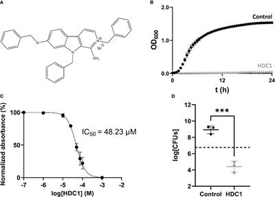 Antimicrobial Activity of a Repurposed Harmine-Derived Compound on Carbapenem-Resistant Acinetobacter baumannii Clinical Isolates